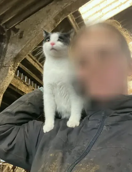 Fatma, 23